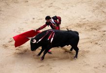 TÂY BAN NHA –DU HỌC TRONG TẦM TAY BẠN